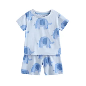 Roman – Olifanten Zomerset